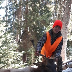 Meet your Posher, Matthew